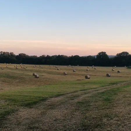 努萨别墅住宿加早餐旅馆 住宿加早餐酒店 卡波罗纳