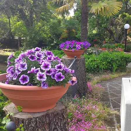 Bed & Breakfast La Nussa